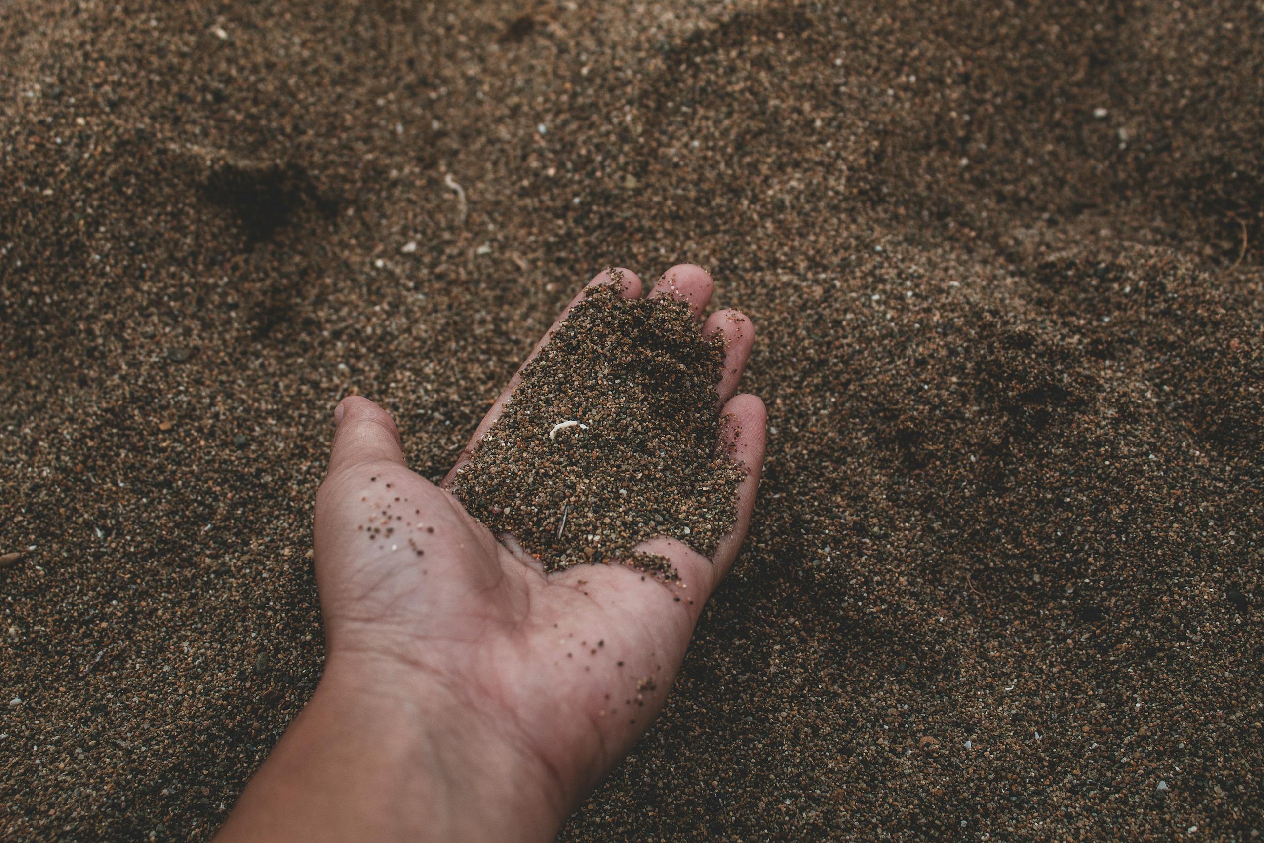 A hand scooping sand on a beach, highlighting texture and earthy tones.